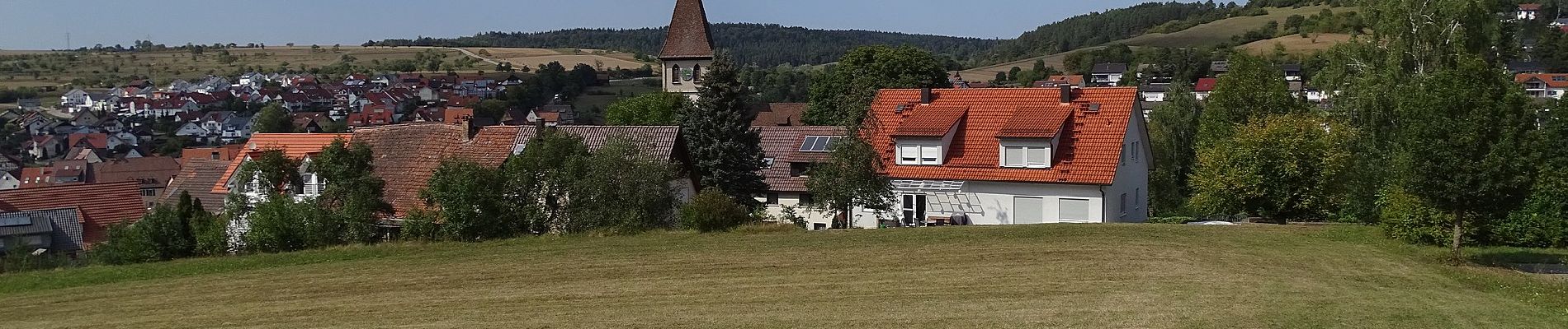 Percorso A piedi Wildberg - Sulz am Eck - Gültlinger Kapf - Photo