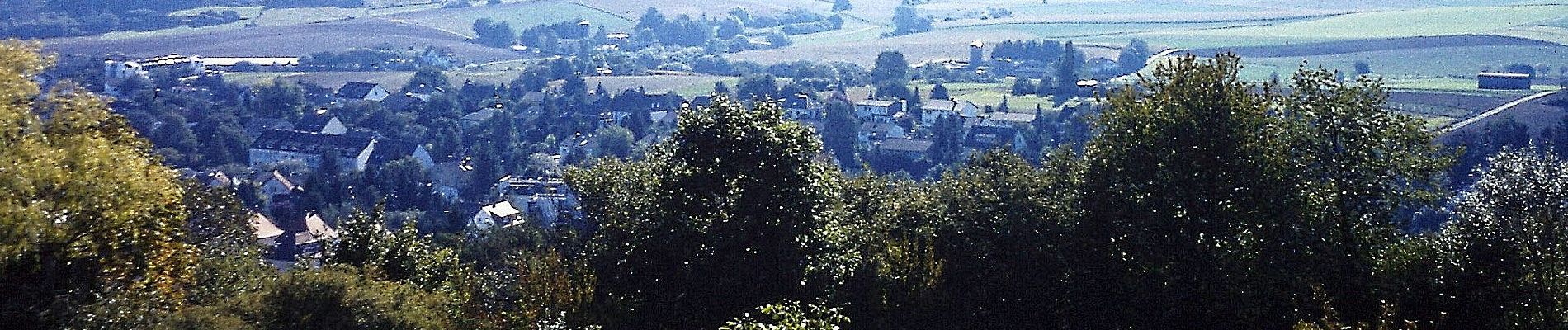 Tocht Te voet Ober-Ramstadt - Rundwanderweg Ober-Ramstadt Am Kuhfalltor 3: Geisenwald-Weg - Photo