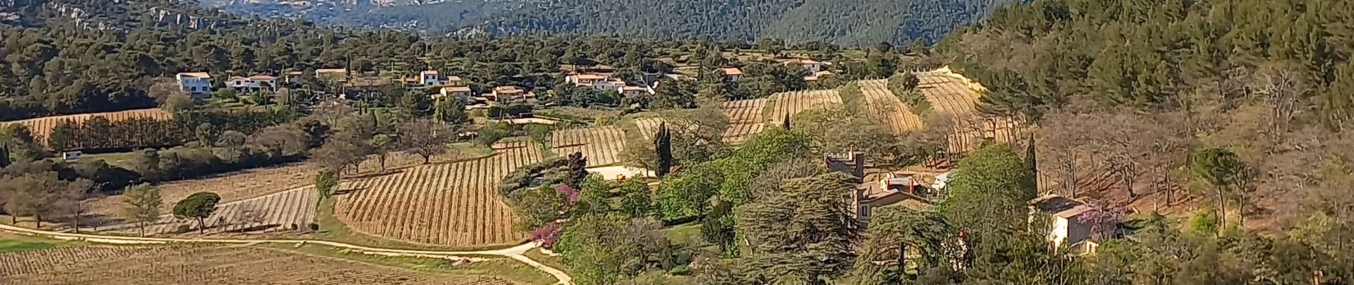 Tour Wandern Roquefort-la-Bédoule - Le Montounier - Photo