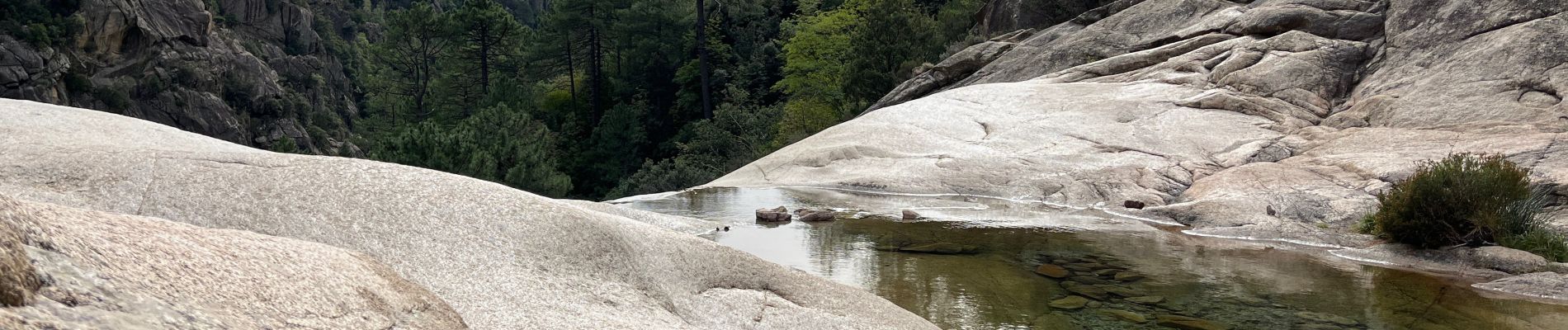 Trail Walking Quenza -  Vers purcaraccia - Photo