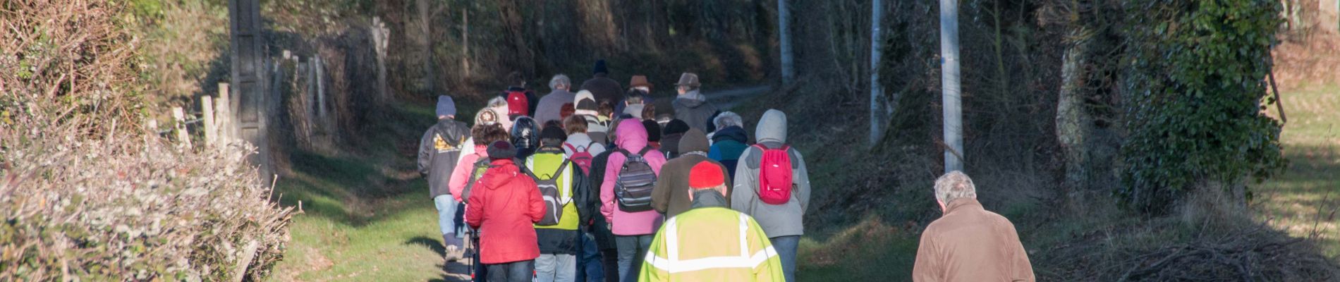 Tocht Stappen Saint-Victor-de-Buthon - Saint-Victor-de-Buthon - Thiron-Gardais 17 km - Photo