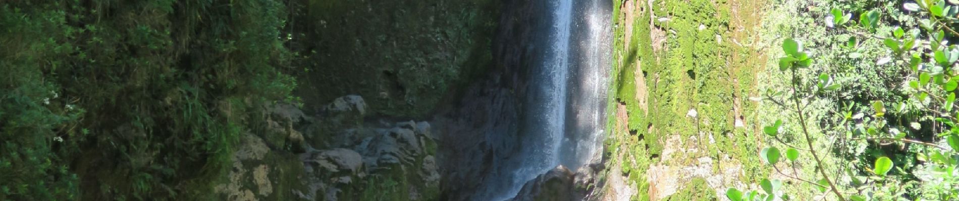 Randonnée A pied Saint-Claude - La Soufrière et retour par le Col de l'Échelle et la chute du galion - Photo