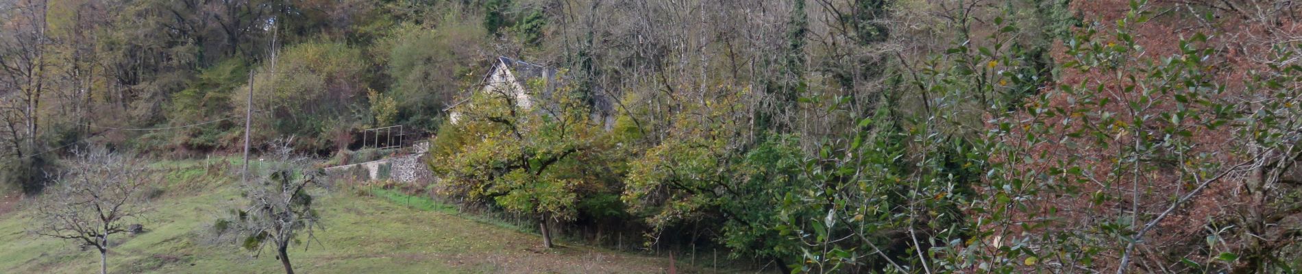 Trail Walking Orgnac-sur-Vézère - Gorges de la Vézère : Boucle Comborn-le Saillant - Photo