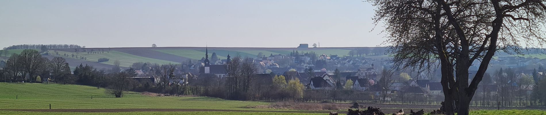 Percorso Marcia Soultz-sous-Forêts - Le sentier des cimes depuis Soultz - Photo