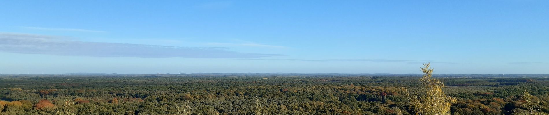 Tour Wandern Raismes - Forêt de Raismes - Photo