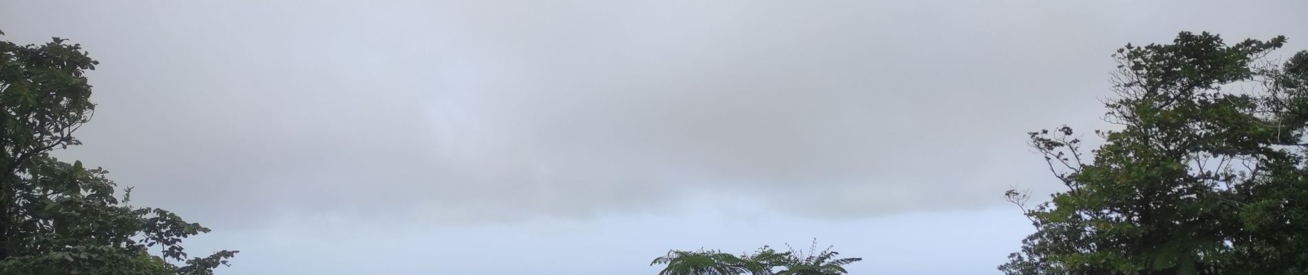 Randonnée Marche Capesterre-Belle-Eau - chutes du carbets 1 et 2 🇬🇵 - Photo