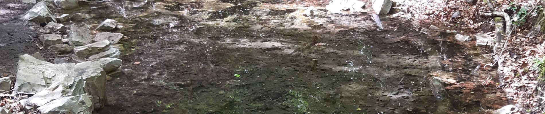 Tour Wandern Magny-le-Désert - bagnoles de l'orne j3 - Photo