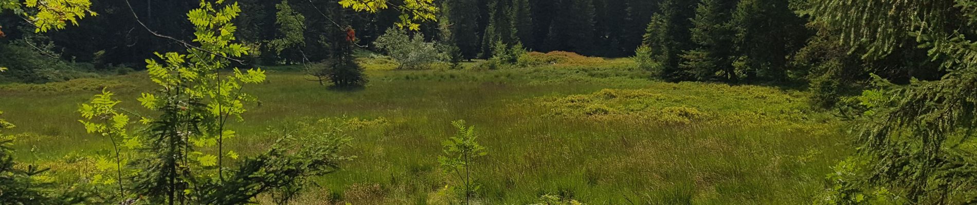 Randonnée V.T.T. Hauteluce - 2019.08.13-24,7km-Saisies Chemin des Marmottes Carrefour direction Coehnoz Lac des Saisies Bisanne Descente par piste VTT Saisies - Photo