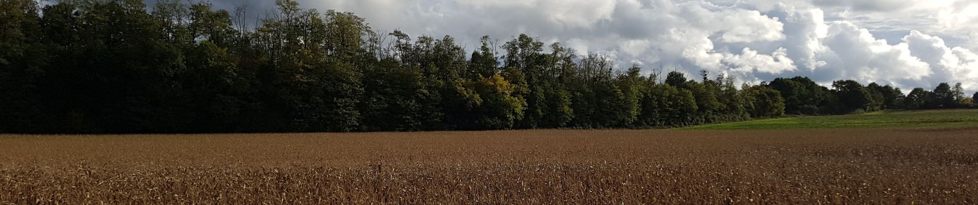 Excursión Senderismo Pecqueuse - 20191019_Tour_des_Fermes_réalisé - Photo