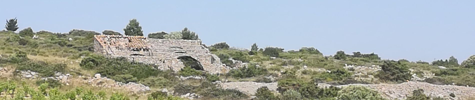 Trail Walking Roquefort-des-Corbières - boucle pastorale 2019 - Photo