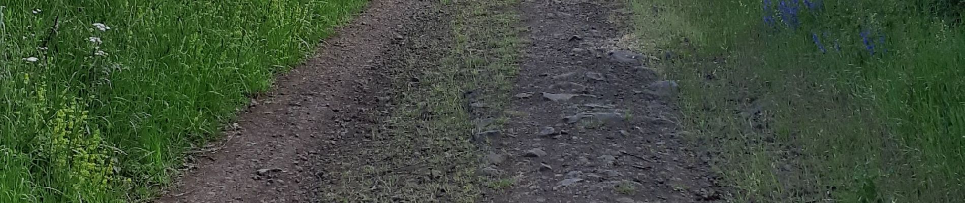 Randonnée Marche Solignat - PUY D'YSSON - Photo