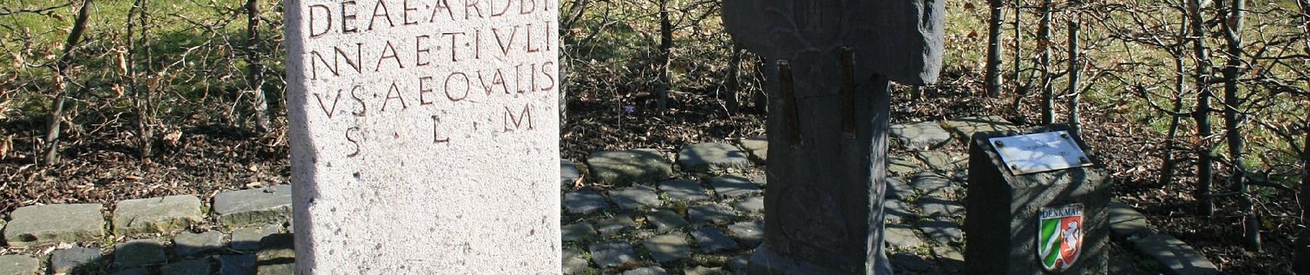 Percorso A piedi Hürtgenwald - Hochwaldweg - Photo