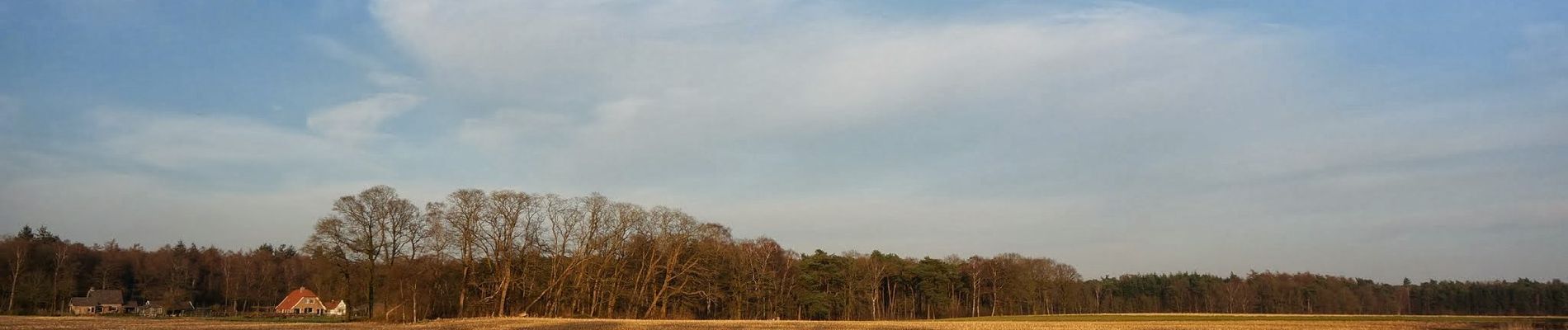 Randonnée A pied Bronckhorst - Lokaal Vorden - Photo