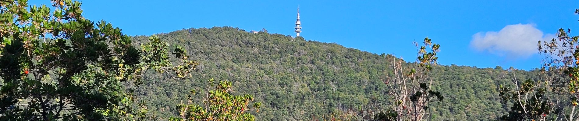 Tour Wandern Pignans - Balade dans les Maures - Photo