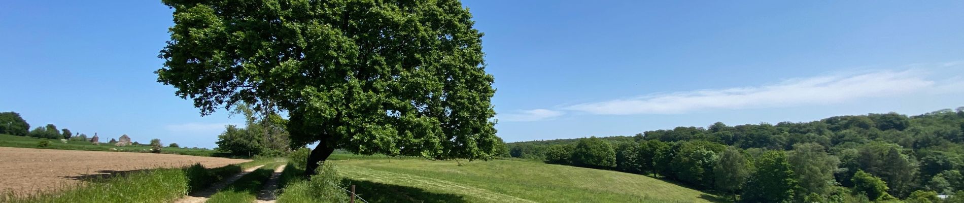 Tour Wandern Braine-le-Comte - GRP127 : De Hennuyères à Nivelles - Photo