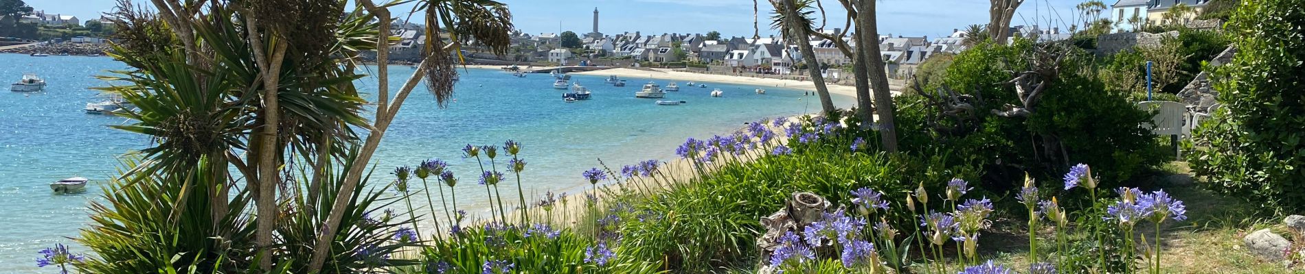 Excursión Senderismo Île-de-Batz - Île de Batz - Photo