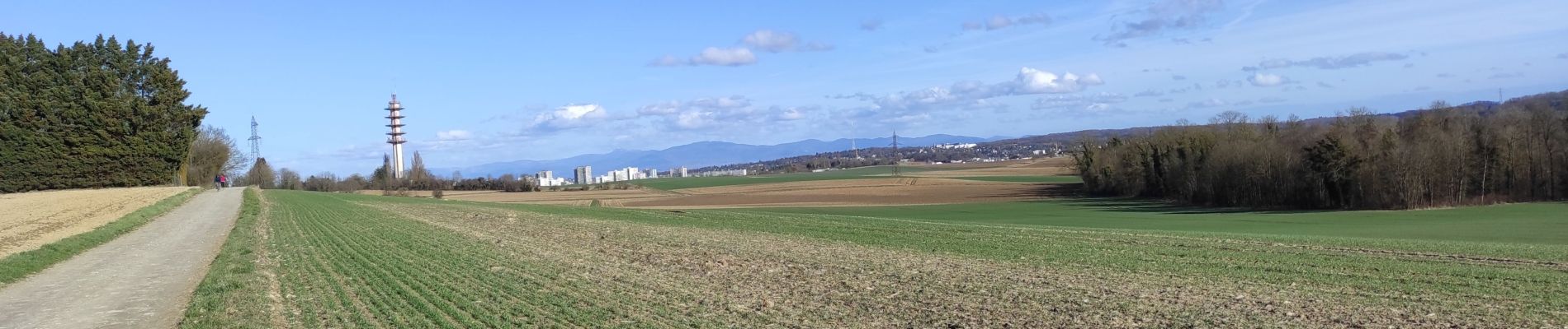 Randonnée Marche Heimsbrunn - Heimsbrunn Morsch Reiningue - Photo