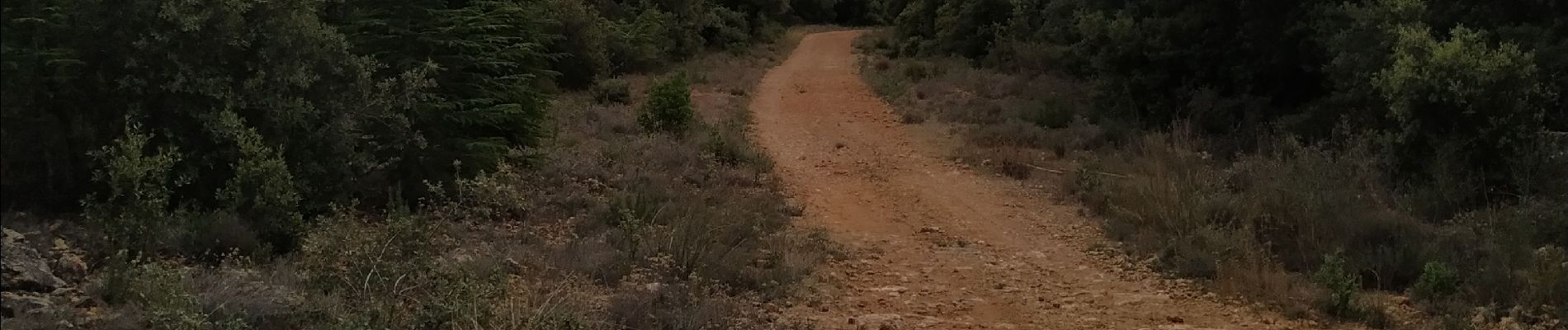 Tocht Stappen Draguignan - le malmont Draguignan - Photo