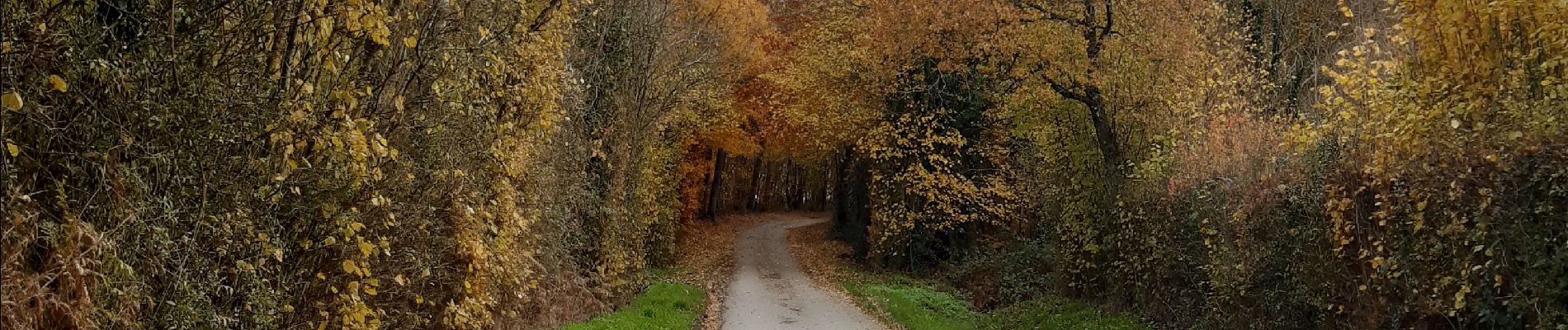 Randonnée Marche La Vespière-Friardel - orbec vispière - Photo