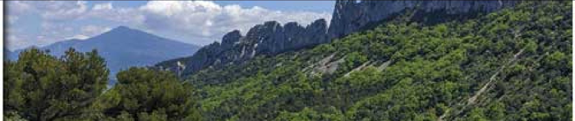 Randonnée Marche Gigondas - Gigondas Les Dentelles de Montmirail 13 km - Photo