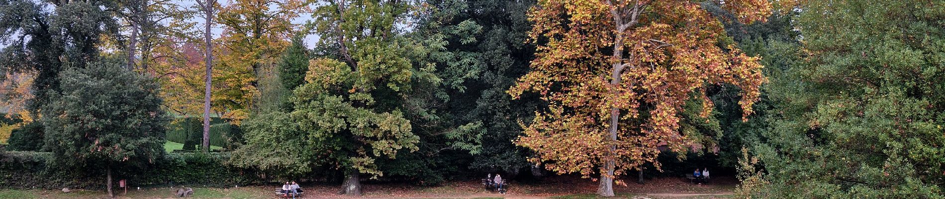 Trail On foot Pistoia - IT-208 - Photo