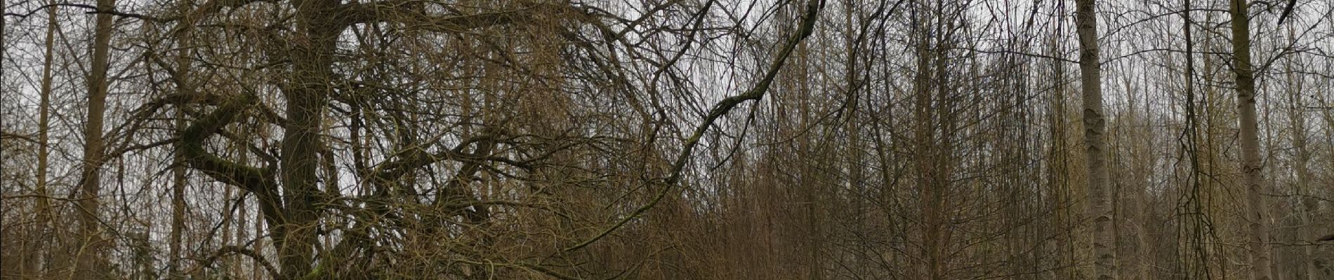 Randonnée Marche Envermeu - envermeu st ouen sous bailly farival l'eaulne - Photo