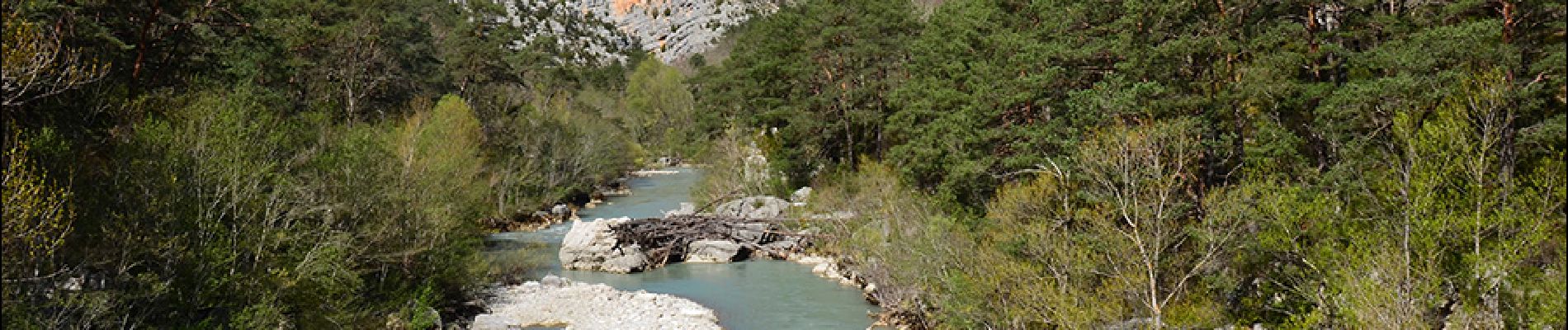 Randonnée Marche Trigance - Trigance - Belvédère de Trescaine - Pt du Tusset - Point Sublime - Rougon - Pt de Carajuan - Pt de Sautet - Photo