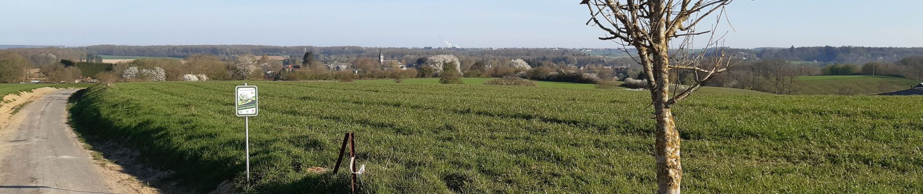 Randonnée Marche Havelange - Gros-Chêne  Méan  Maffe - Photo