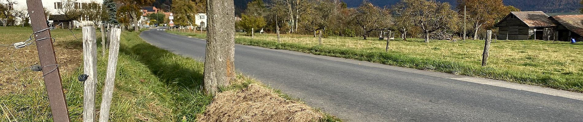 Trail On foot Val-de-Ruz - Grand Chezard-Villars - Photo