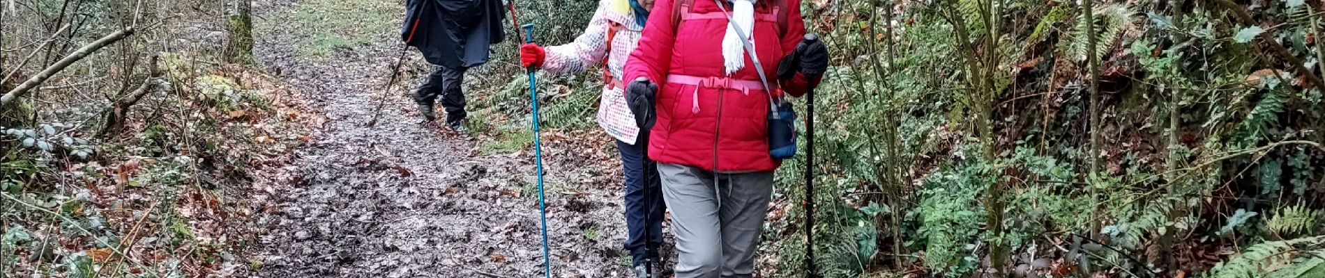 Excursión Senderismo Lanne-en-Barétous - G4 lanne baretous fait - Photo