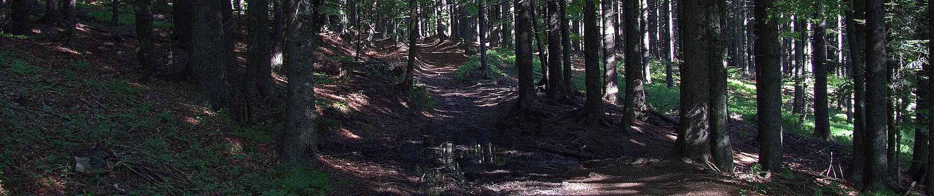 Randonnée A pied Slovenska Bistrica - Pohodna pot Kebelj - Trije Kralji - Photo