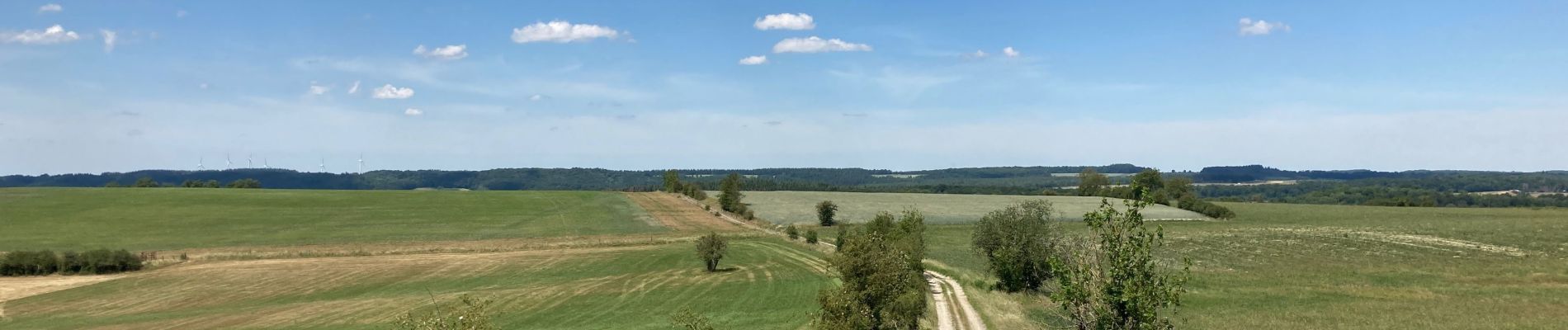 Tocht Stappen Somme-Leuze - Sentiers d’Art / Boucle Heure-Nettinne / 2020-06-01 / 17 km - Photo