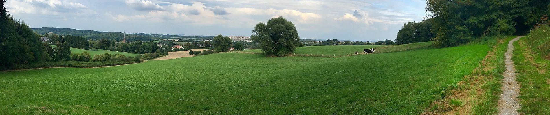 Percorso A piedi Aquisgrana - GrenzRouten: Naturerlebnispfad 4,4 km (Blau) - Photo