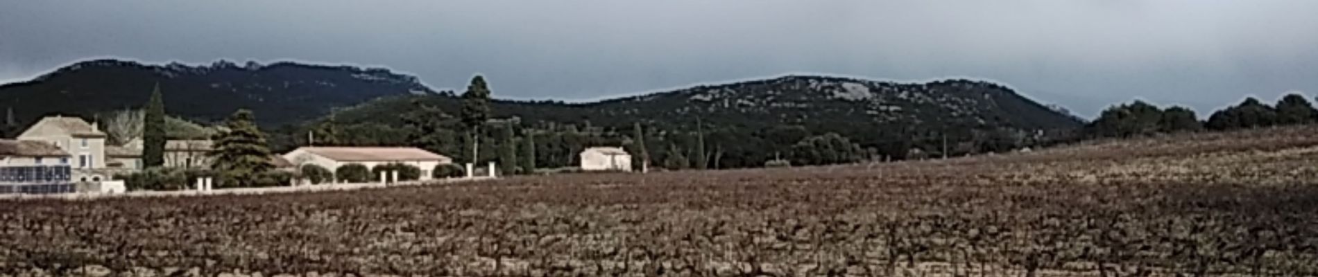 Tocht Stappen Beaumes-de-Venise - entre beaumes et vacqueyras   84 - Photo