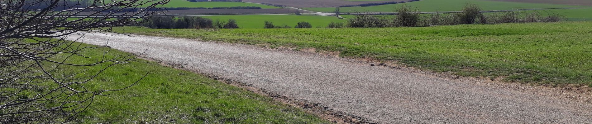 Excursión Bici de carretera Pont-à-Mousson - Côte de Delme (2) - Photo