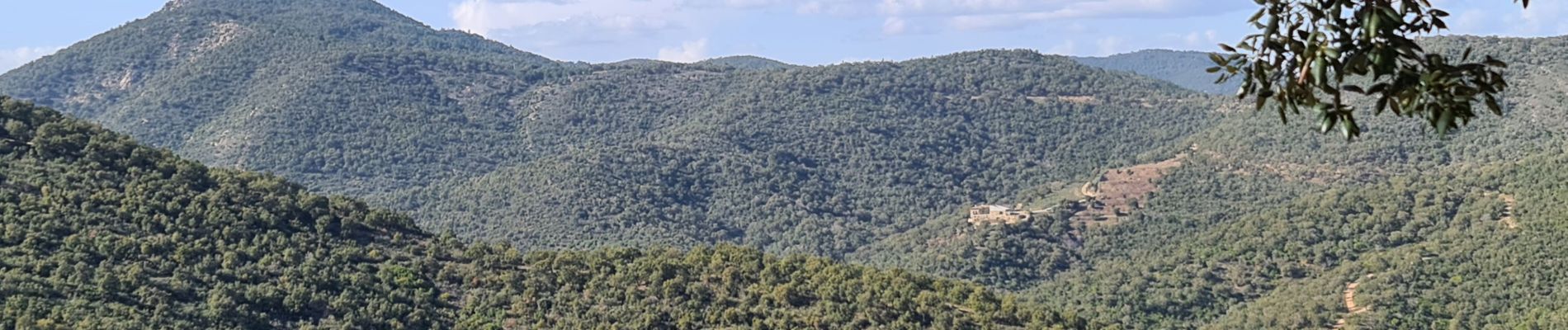 Tour Wandern Sainte-Maxime - circuit panoramique Ste Maxime - Photo