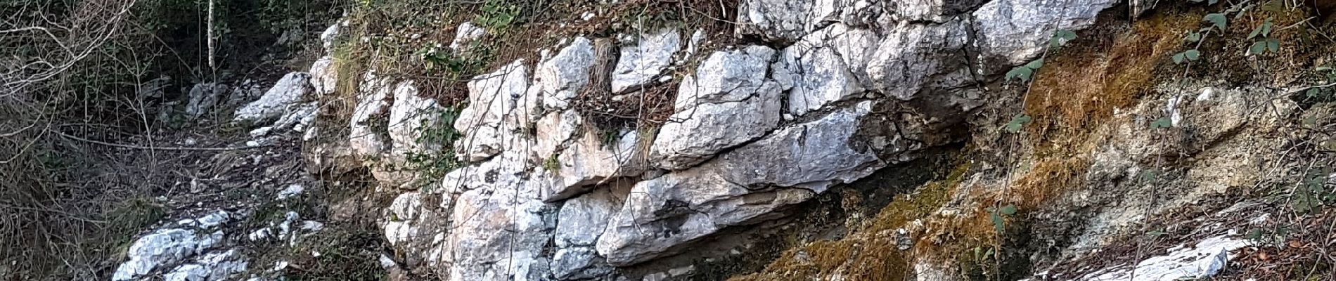 Trail On foot Sezze - Longara-Valle Naforte-Monte La Croce - Photo