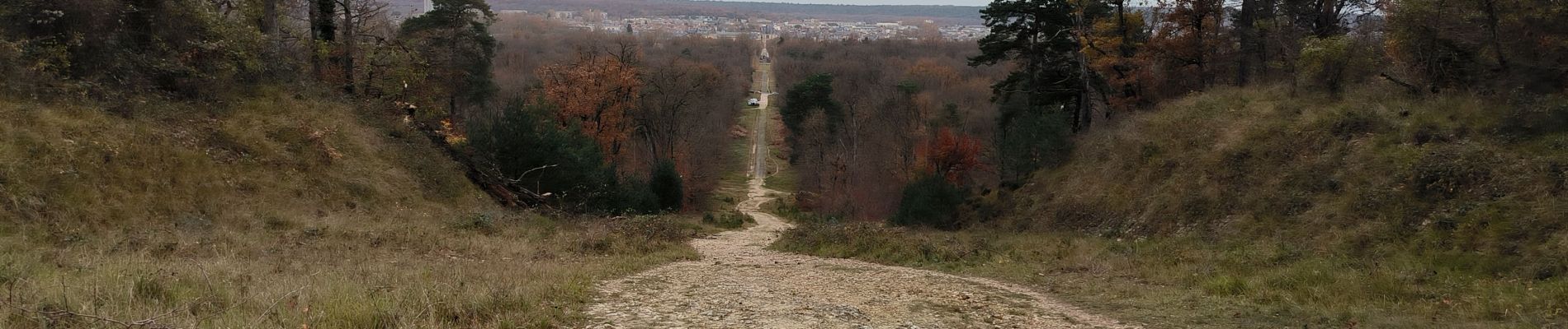 Trail Walking Fontainebleau - MAINTENON 24 NOVEMBRE 2023 - Photo