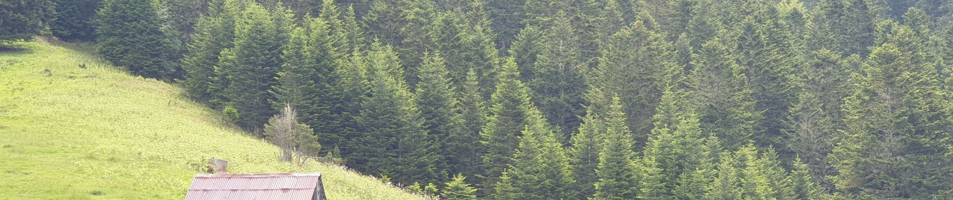 Excursión Senderismo Artigue - Artigue par la cabane du plan Bosc et la cabane de Saunères - Photo