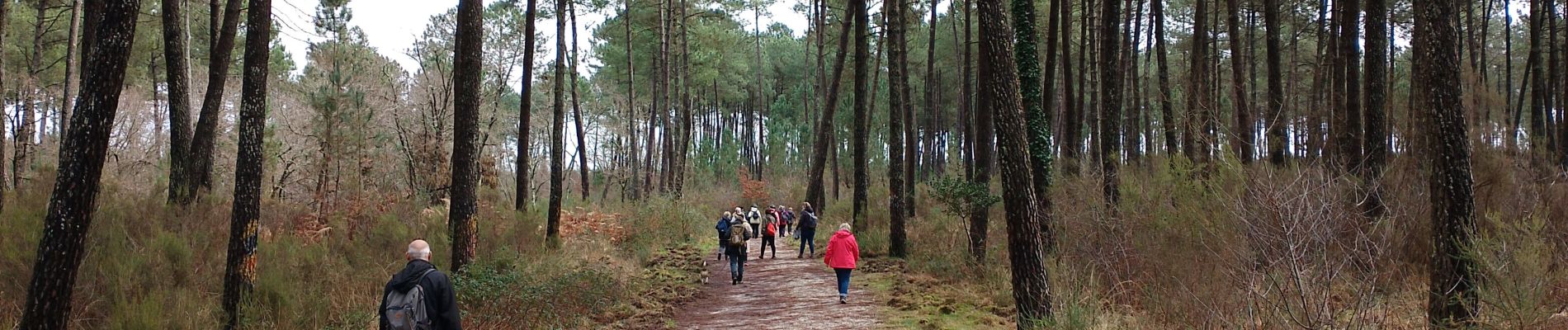 Trail Walking Martillac - Martillac - Photo