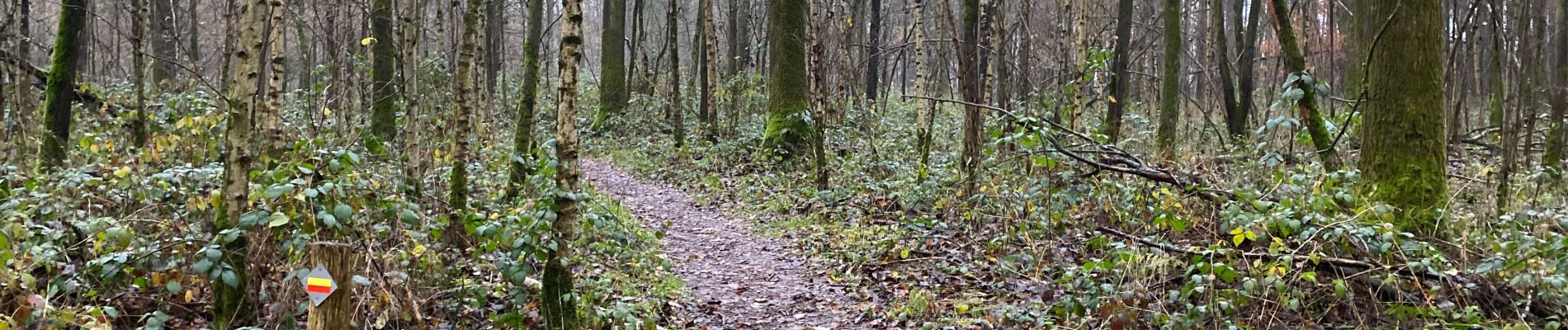 Randonnée Marche Maldegem - Kleit 22,5 km - Photo