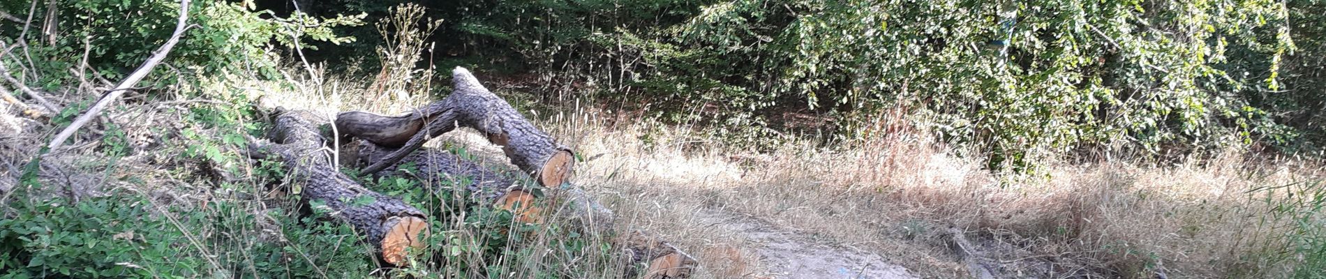 Tocht Stappen Blainville-sur-l'Eau - haut des places - Photo