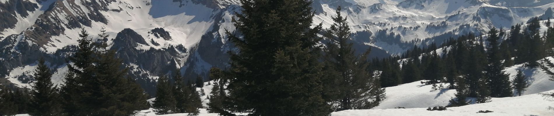 Tocht Sneeuwschoenen Glières-Val-de-Borne - rochers de lechaux - Photo