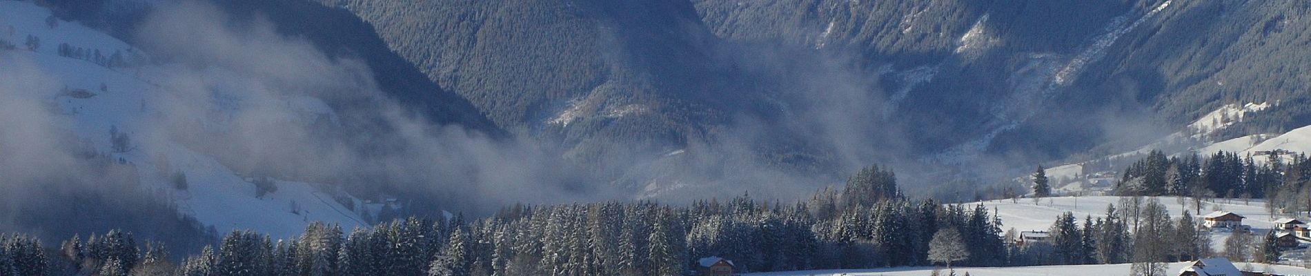 Percorso A piedi Ramsau am Dachstein - Leitenrundweg - Photo