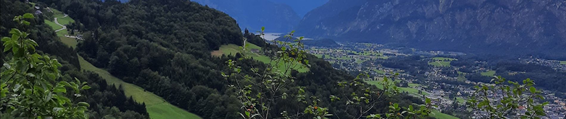 Trail Walking Bad Goisern am Hallstättersee - predigstuhle  - Photo