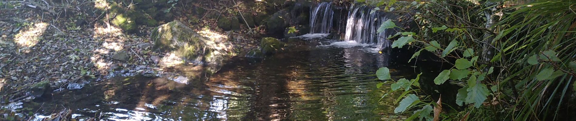 Randonnée Marche Masevaux-Niederbruck - Houppach - Photo