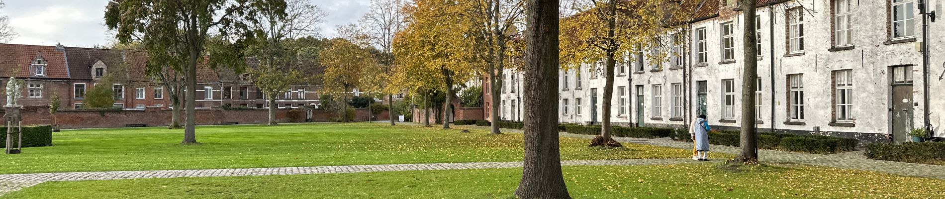 Randonnée Marche Termonde - Dendermonde 18,4 km - Photo