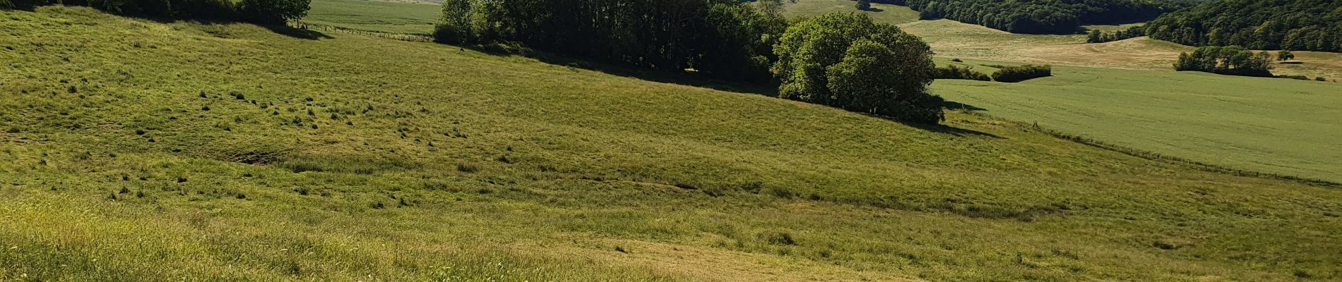 Randonnée Marche Moyenvic - les hauts de Sain-Jean - Photo