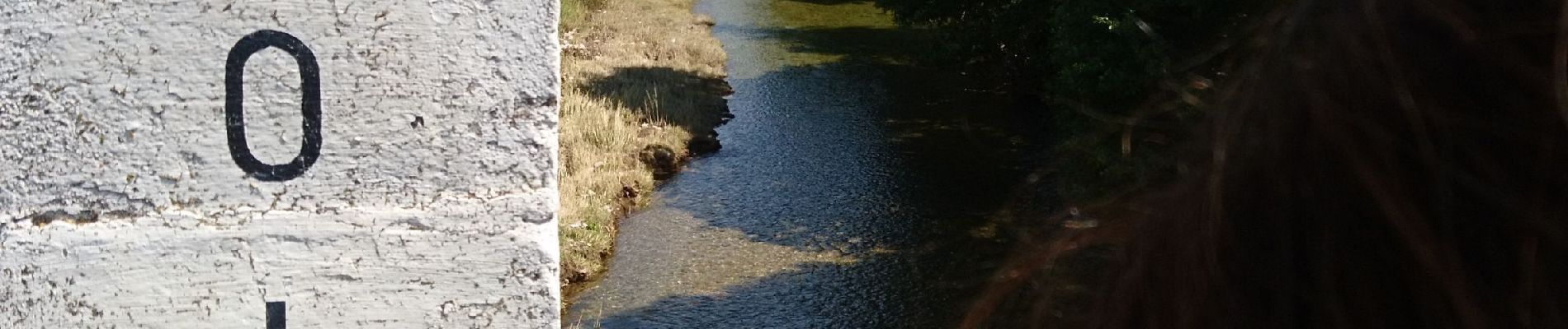 Percorso Marcia Langogne - de langogne à la Bastide Puylaurent  - Photo