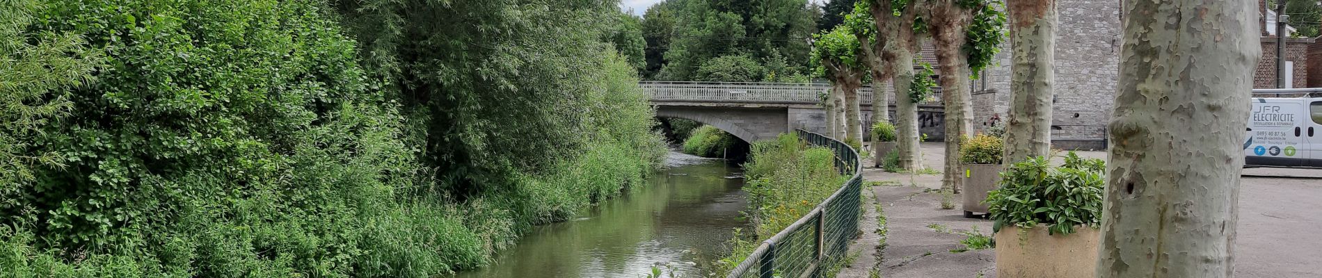 Tour Wandern Wanze - moha promenade de la pierre - Photo